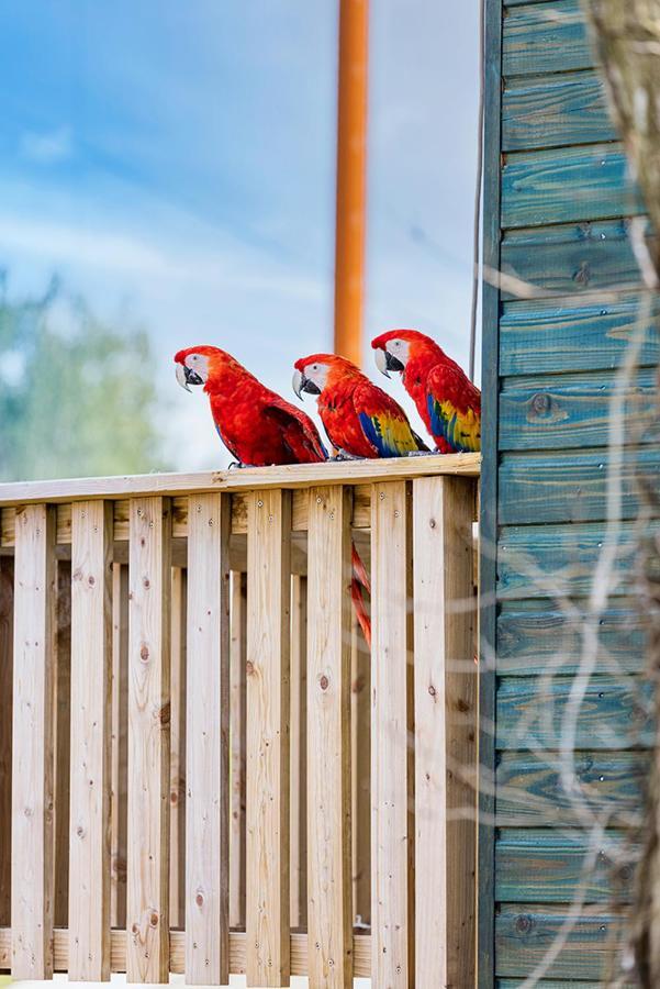 Parrot World - Les Lodges Crecy-la-Chapelle Esterno foto